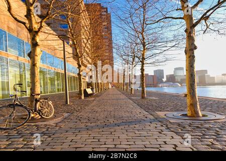 Rotterdam - 14. Februar 2019: Rotterdam, Niederlande. Ein Fahrrad wird vor einem Baum, Wasser und Gebäuden im Hintergrund geparkt. Bei Sonnenaufgang mit Stockfoto