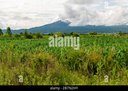 Ein Gebiet in der Nähe von Lashi Hai, das Teil der alten Tea Horse Road, Chamagudao, war und sich durch die Berge von Sichuan, Yunnan und Tibet in China schlängelt. Stockfoto