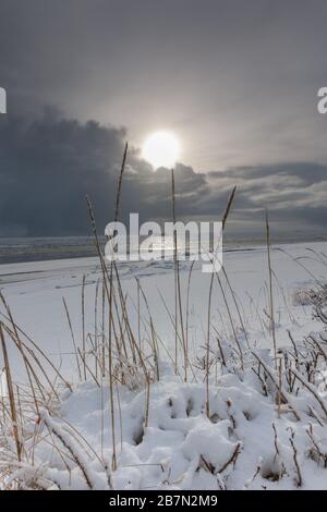 Extremer Winter auf der Insel Föhr, Nordsee, UNESCO-Welterbe, Nordfriesland, Schleswig-Holstein, Norddeutschland, Europa Stockfoto