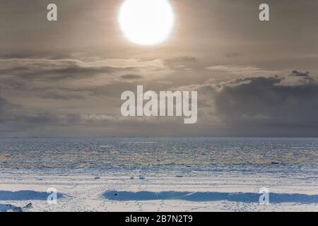 Extremer Winter auf der Insel Föhr, Nordsee, UNESCO-Welterbe, Nordfriesland, Schleswig-Holstein, Norddeutschland, Europa Stockfoto