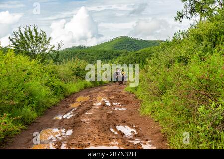 Ein Gebiet in der Nähe von Lashi Hai, das Teil der alten Tea Horse Road, Chamagudao, war und sich durch die Berge von Sichuan, Yunnan und Tibet in China schlängelt. Stockfoto