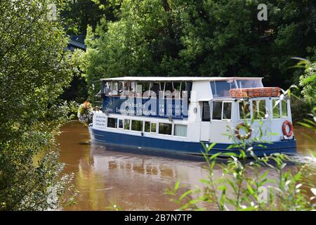 Der Flusskreuzer Sabrina, der den Quarry Park entlang des River Severn in Shrewsbury passiert, führt flussabwärts in Richtung Kingsland Bridge. Stockfoto