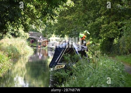 Eine Reihe von schmaleren Booten moorierte auf einem ziemlich überwucherten Treidelpfad am Montgomery-Kanal während eines lokalen Kanalfestes. Stockfoto