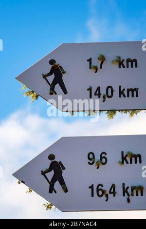 Wegweiser für Wanderwege überwachsen mit Flechten, La Gomera, Kanarische Inseln, Spanien Stockfoto