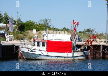 Fischkutter Maischolle im Hafen, Kühlungsborn, Mecklenburg-Vorpommern, Deutschland Stockfoto