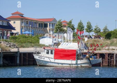 Fischkutter Maischolle im Hafen, Kühlungsborn, Mecklenburg-Vorpommern, Deutschland Stockfoto