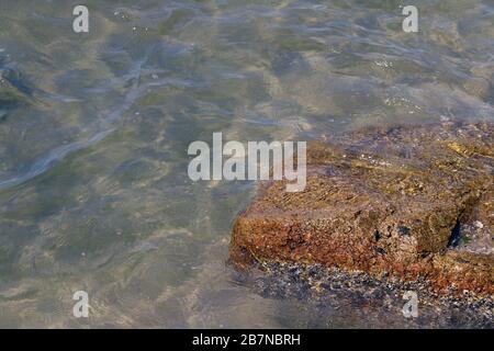 Kristallklares Meerwasser und hervorragende Sauberkeit, sehen Sie Felsen auf dem Grund des Meeres Natur Ozean, unter Wasser am Strand klar und sauber, Winter Meer mit Trave Stockfoto