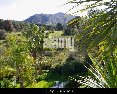 Shanti Som Retreat in den Hügeln von Marbella an der Bergstraße in Richtung der Seen von Málaga, Andalucia, Spanien. Ruhiger Yoga-Urlaub im thailändischen Stil Stockfoto