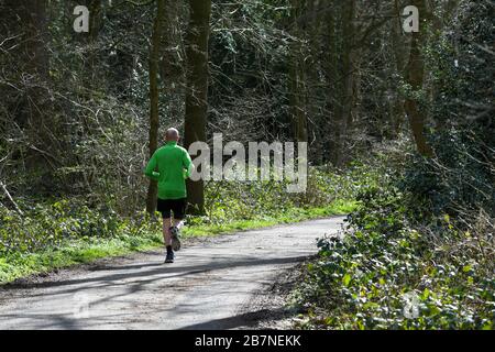 Mann joggt auf einem Waldweg Stockfoto