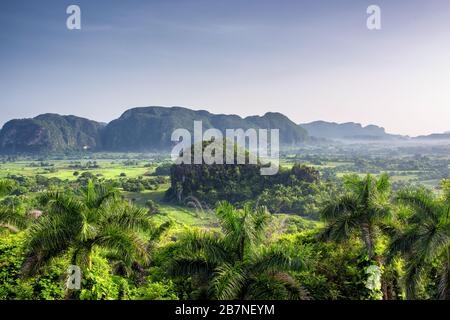 Wunderschöner Blick auf die grünen Felder, Bäume und Motten im Vinales Valley Kuba Stockfoto