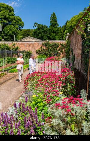 Eine bunte Staudengrenze im ummauerten Garten im Tyntesfield House, NR Wraxall, North Somerset, England, Großbritannien Stockfoto