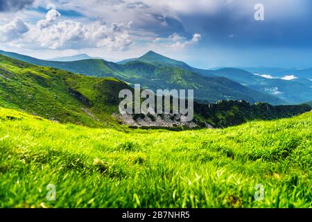 Üppig grünes Gras bedeckte Berge Wiese im Sommer. Weiches Sonnenaufgangslicht, das auf einem Vordergrund leuchtet. Landschaftsfotografie. Hintergrund der Natur Stockfoto