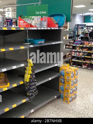 Bridport, Dorset, Großbritannien. März 2020. Ein leeres Regal für Katzenstreu, das sich im Morrisons Supermarkt in Bridport in Dorset aufgrund von Panikkäufen wegen des Coronavirus/Covid-19 ausverkauft hat. Bildnachweis: Graham Hunt/Alamy Live News Stockfoto