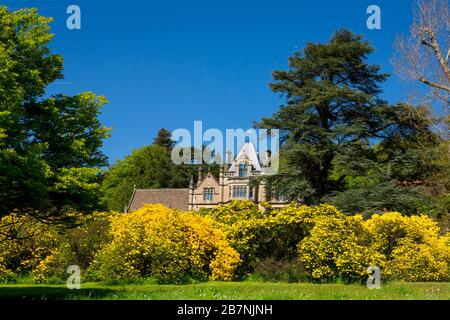 Viktorianische Architektur des Gothic Revival und farbenfrohe Azaleen im Tyntesfield House, NR Wraxall, North Somerset, England, Großbritannien Stockfoto