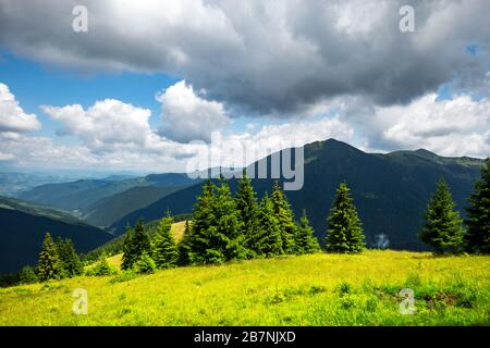 Üppig grünes Gras bedeckte Berge Wiese im Sommer. Weiches Sonnenaufgangslicht, das auf einem Vordergrund leuchtet. Landschaftsfotografie. Hintergrund der Natur Stockfoto