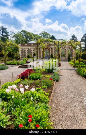 Die viktorianische Orangerie und der Blumengarten auf dem Anwesen Tyntesfield, NR Wraxall, North Somerset, England, Großbritannien Stockfoto