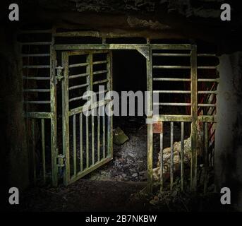 Der Eingang zur stillgenutzten Mine in Pinner Quarry, Crawshawbooth, Lancashire Stockfoto