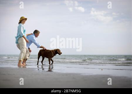 Mitte - nach ein paar Spielen mit ihrem Hund am Strand und im Meer. Stockfoto
