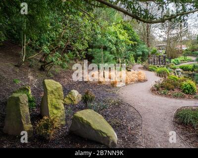 Der japanische Garten in Valley Gardens im Frühjahr Harrogate North Yorkshire England Stockfoto