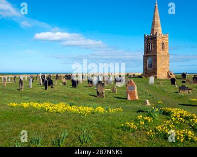 Turm und Turmspitze der St. Germain Kirche Marske am Meer ein 1160 errichtetes denkmalgeschütztes Gebäude, das 1950 mit Narzissen im Frühjahr abgerissen wurde Stockfoto