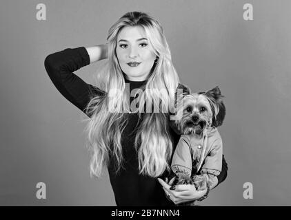 Mädchen adorable blonde Hug kleiner Hund im Wappen. Bekleidung und Accessoires. Heimtierbedarf. Abrichten Hund für kaltes Wetter. Die Hunderassen sollten Mäntel tragen. Frau tragen Yorkshire Terrier. Hunde brauchen Kleidung. Stockfoto