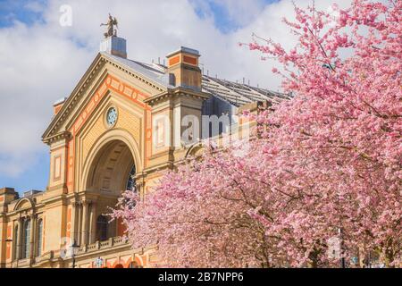 Frühling, Alexandra Palace mit Kirschblüten in London, England Stockfoto