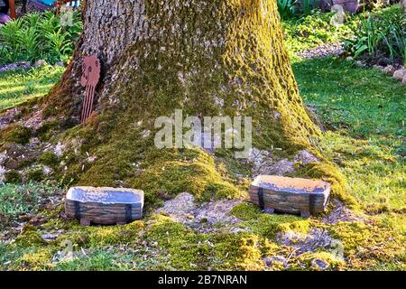 Alter moosbedeckter Baumstamm und Wurzeln mit Gartenschmuck. Stockfoto