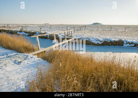 Insel Hallig Langeness, Nordsee, UNESCO-Weltkulturerbe, Nordfriesland, Schleswig-Holstein, Deutschland, Stockfoto