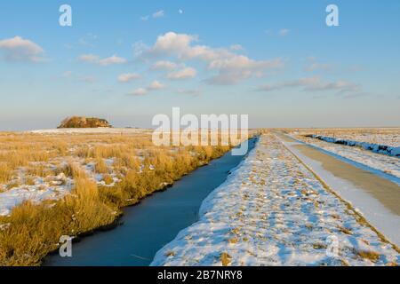 Insel Hallig Langeness, Nordsee, UNESCO-Weltkulturerbe, Nordfriesland, Schleswig-Holstein, Deutschland, Stockfoto