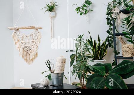 Studio mit vielen Pflanzen in Töpfen, dekoriert mit makramen Stickereien. Stockfoto