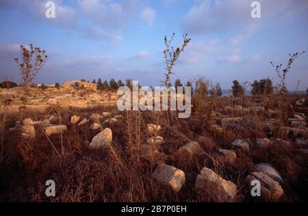 Paphos Archaelogischer Park Zypern Burgruine Saranda Kolones - Burg Lusignan auf der durch Erdbeben zerstörten, im Jahr 1222 erbauten, byzantinischen Stätte Stockfoto