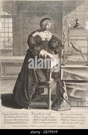 Der Papagei, 1620-76. Stockfoto