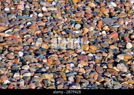 Ein abstrakter Schuss von einer Bank bunter nasser Kieselsteine am Strand, der von warmer, später nachmittäglicher Sonne angezündet wird. Stockfoto