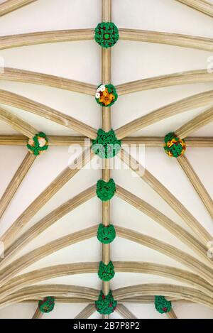 Die gewölbte Decke der Episcopal Chapel of Bishop Burnel aus dem 13. Jahrhundert im Bishops Palace, Wells, Somerset, England, Großbritannien Stockfoto