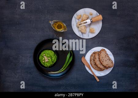 Frisch hausgemachter WildKnoblauchpfesto aus Bären-Leek-Kräutern, köstliche Sauce für italienische Pasta und Zutaten zum Kochen Stockfoto