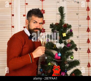 Partymann mit lächelndem Gesicht im Festsaal. Guy sitzt in der Nähe des Weihnachtsbaums mit Einrichtung auf Holzwandhintergrund. Mann mit Bart hält Glas Champagner. Celebration und Neujahrsstimmung Konzept Stockfoto