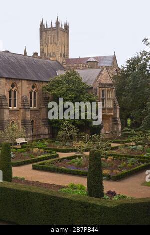 Der Phelps Garten und das Bischofshaus auf dem Gelände des Bischofspalastes in Wells, Somerset, England, mit den Kathedralentürmen, die dahinter sichtbar sind. Stockfoto