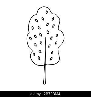 Schöner Baum mit Blättern auf weißem Hintergrund. National Forest Day. Das Konzept des Naturschutzes. Frühling oder Sommer Doodle in Schwarz und Stock Vektor