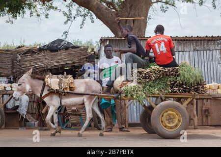 Niger: Eselskarre mit Gemüse auf der Straße von Niamey Stockfoto