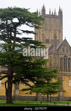 Ein Frühlingssicht von den Mauern des Bischofspalastes über die Gärten zur Wells Kathedrale in der Stadt Wells, Somerset, England Stockfoto