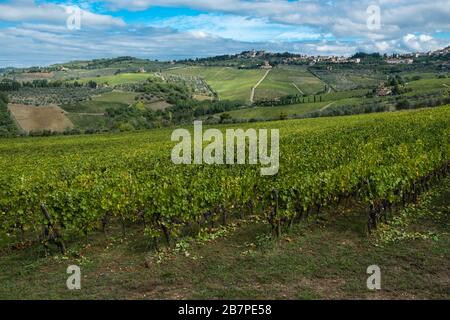 Sauber gepflaste Reben mit roten Trauben füllen den Vordergrund. Pflastungen von Weinbergen, Zufahrtsstraßen und Dörfern tragen zu einer typischen toskanischen Landschaft über die Grenzen hinaus bei Stockfoto