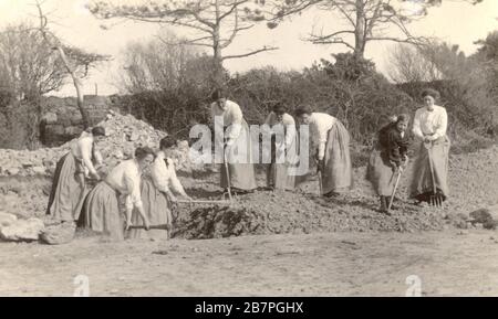 WW1 Ära Postkarte der Gruppe von Frauen Land Mädchen, tun Kriegsarbeit - Bau einer Farm Track, um 1916, Großbritannien Stockfoto