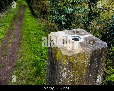 Mystische und uralte Grim, Graben, 7000 Jahre alter Weg und Erdarbeiten, Teil des Ridgeway, NR Nufield, Oxfordshire, England, Großbritannien, GB. Stockfoto