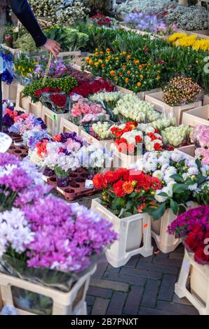 Person, Blumen pflücken am Marktstand Stockfoto