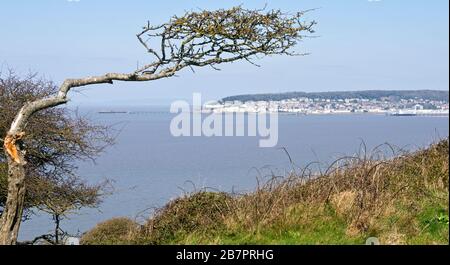 Eine Landschaft, die von Brean nach unten über Weston Bay und Weston-Super-Stute in Richtung Worlebury Hill, Somerset, England, Großbritannien geschossen wurde Stockfoto