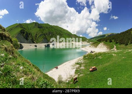 Schöner Blick auf den Bergsee Kezenoi am Botlikh-Distrikt der Republik Dagestan. Am Ufer weiden Pferde. Saftige Grüns in der frühen Summe Stockfoto