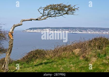 Eine Landschaft, die von Brean nach unten über Weston Bay und Weston-Super-Stute in Richtung Worlebury Hill, Somerset, England, Großbritannien geschossen wurde Stockfoto