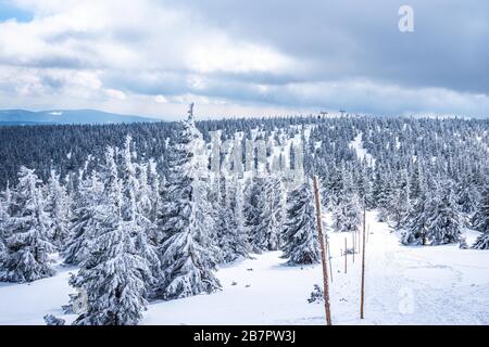 Wunderschöne Winterlandschaft mit schneebedeckten Bäumen in Krkonose. Panorama der verschneiten Landschaft in den Bergen. Stockfoto