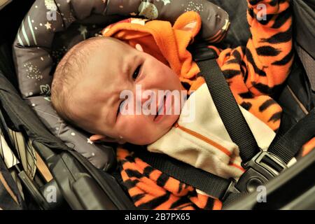 Unglücklicher Junge in erforderlichen California Autositz auf einer Familienreise Stockfoto