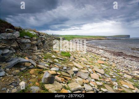 Blick auf Marwick Head, Orkney, Schottland Stockfoto